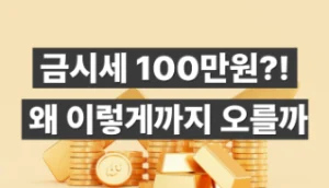 금시세 금투자 금값