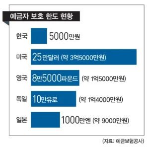 예금자보호제도 뱅크런 예금자 보호법